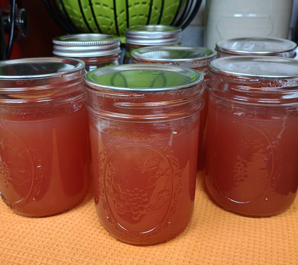 homemade red grape jelly canned in mason jars