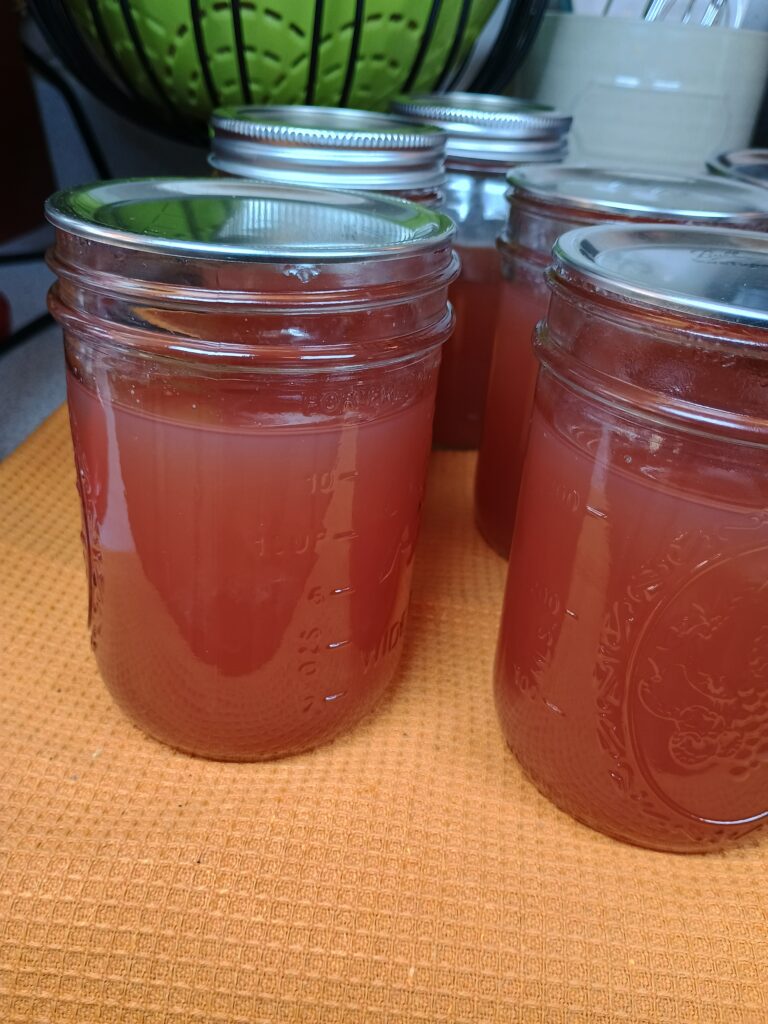 homemade canned red grape jelly in mason jars