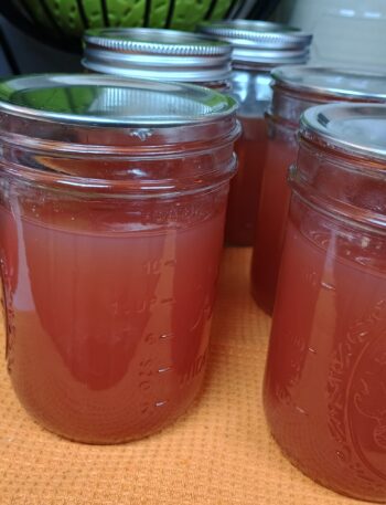 homemade canned red grape jelly in mason jars