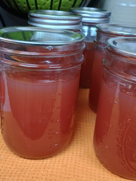 homemade canned red grape jelly in mason jars