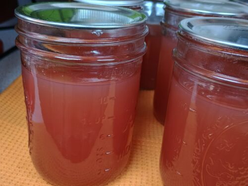 homemade canned red grape jelly in mason jars