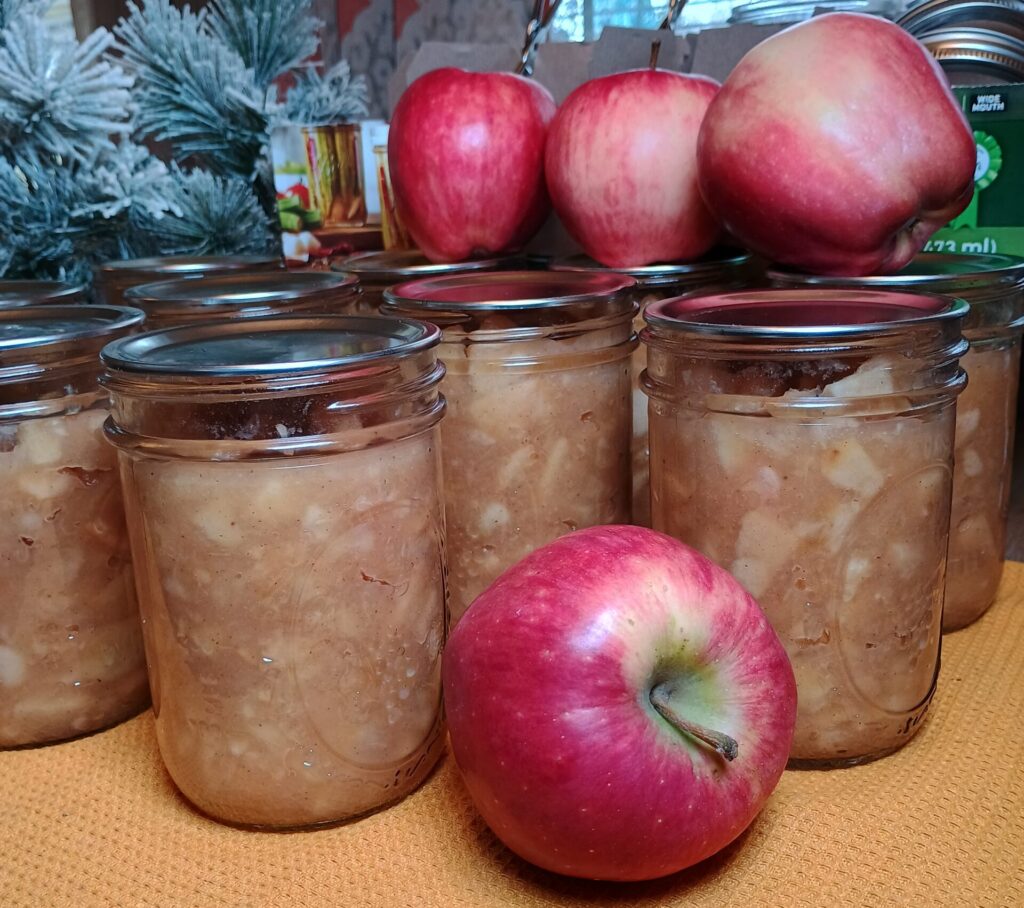 Homemade Chunky Cinnamon Apple Sauce Canning Recipe