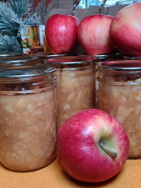 Homemade Chunky Cinnamon Apple Sauce Canning Recipe