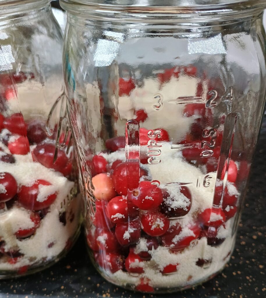 cranberries and sugar in jar to make cranberry juice