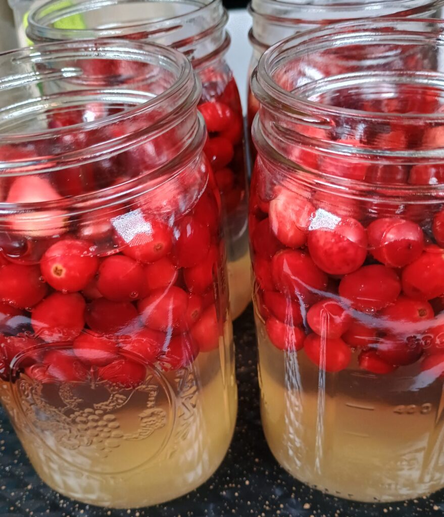 cranberries and water in mason jar to make cranberry juice.