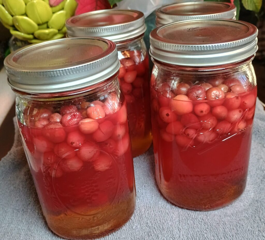 Homemade cranberry juice in mason jars.