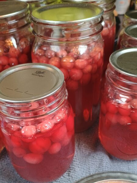 cranberry juice in mason jar