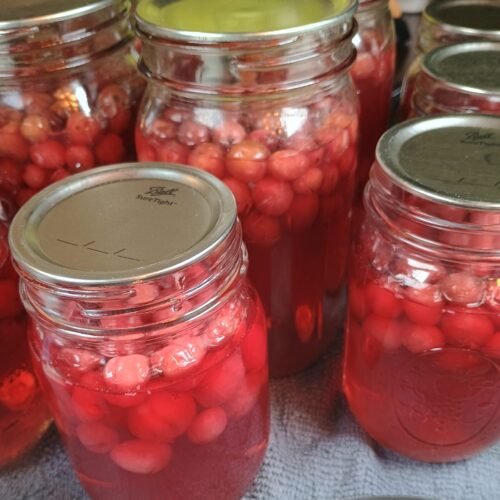 cranberry juice in mason jar