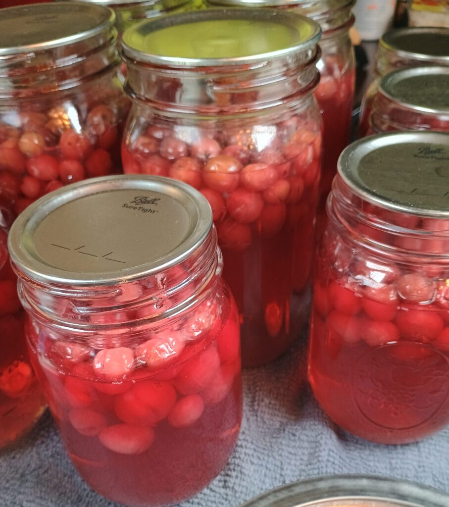 cranberry juice in mason jar