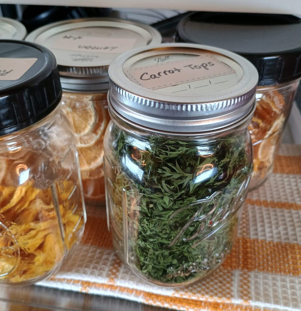 dehydrated fruit and carrot tops in jars