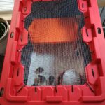 plastic tote quail chick brooder